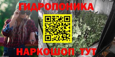 2c-b Лесосибирск