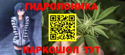2c-b Лесосибирск