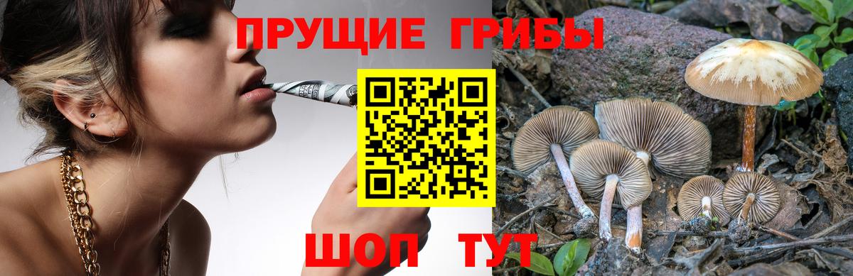 Псилоцибиновые грибы GOLDEN TEACHER Дзержинск